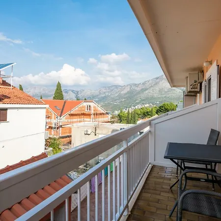 Guest house Voinic 2